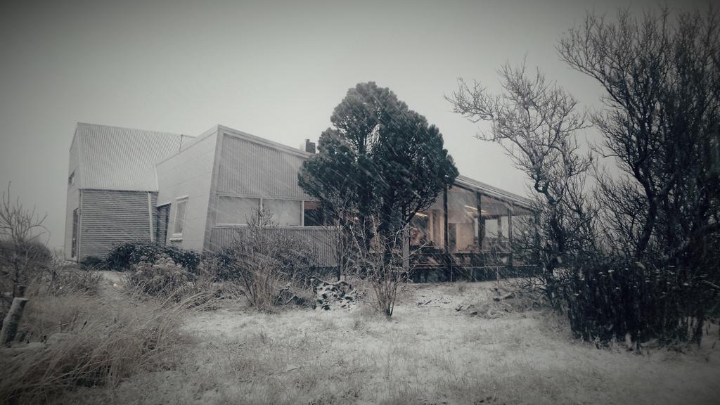 Eyvindarholt Guesthouse Álftanes Dış mekan fotoğraf