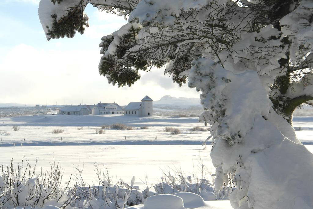Eyvindarholt Guesthouse Álftanes Dış mekan fotoğraf